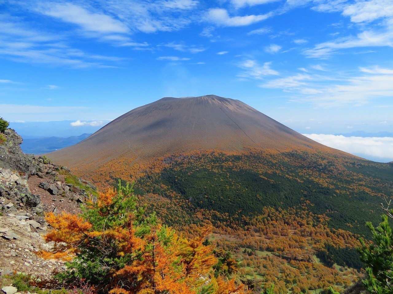 【シニアプラン】2食付き〜50歳以上＆平日限定プラン☆大人1名最大1，500円割引〜