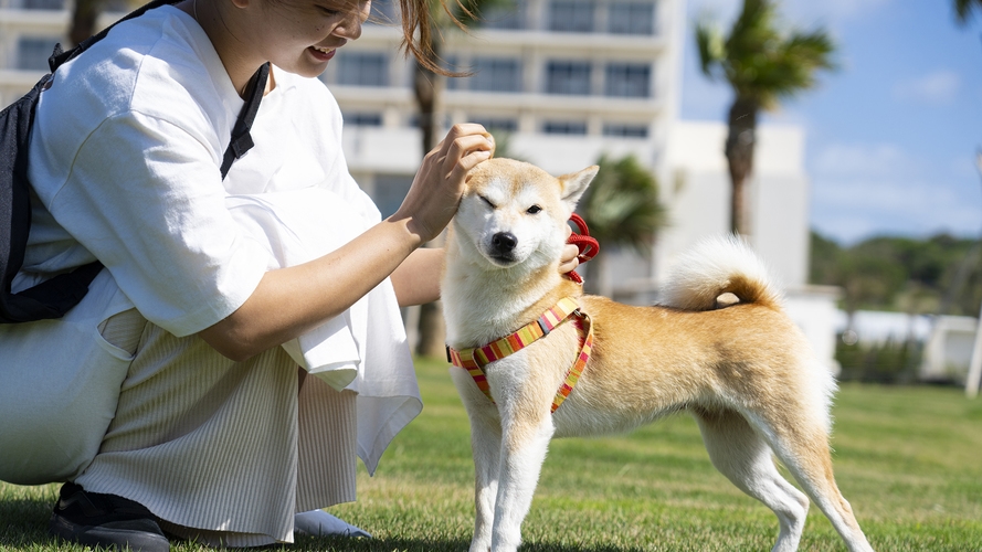【旅先でもず〜っと一緒】ペットフレンドリールーム宿泊プラン（ルームサービス朝食付）