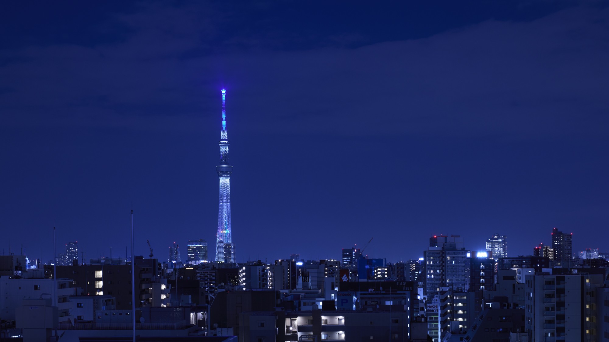 Deluxe King Suite デラックスキングスイート