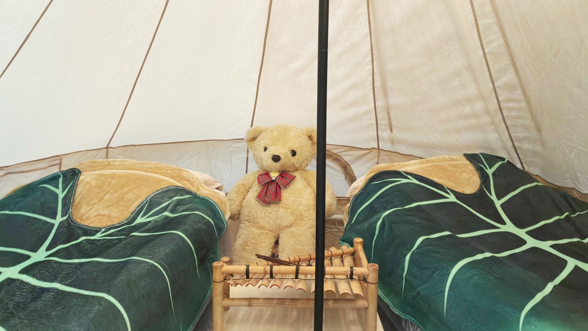 【春SALE】【素泊】ガーデンに多肉ショップと多彩に楽しめる春の宿