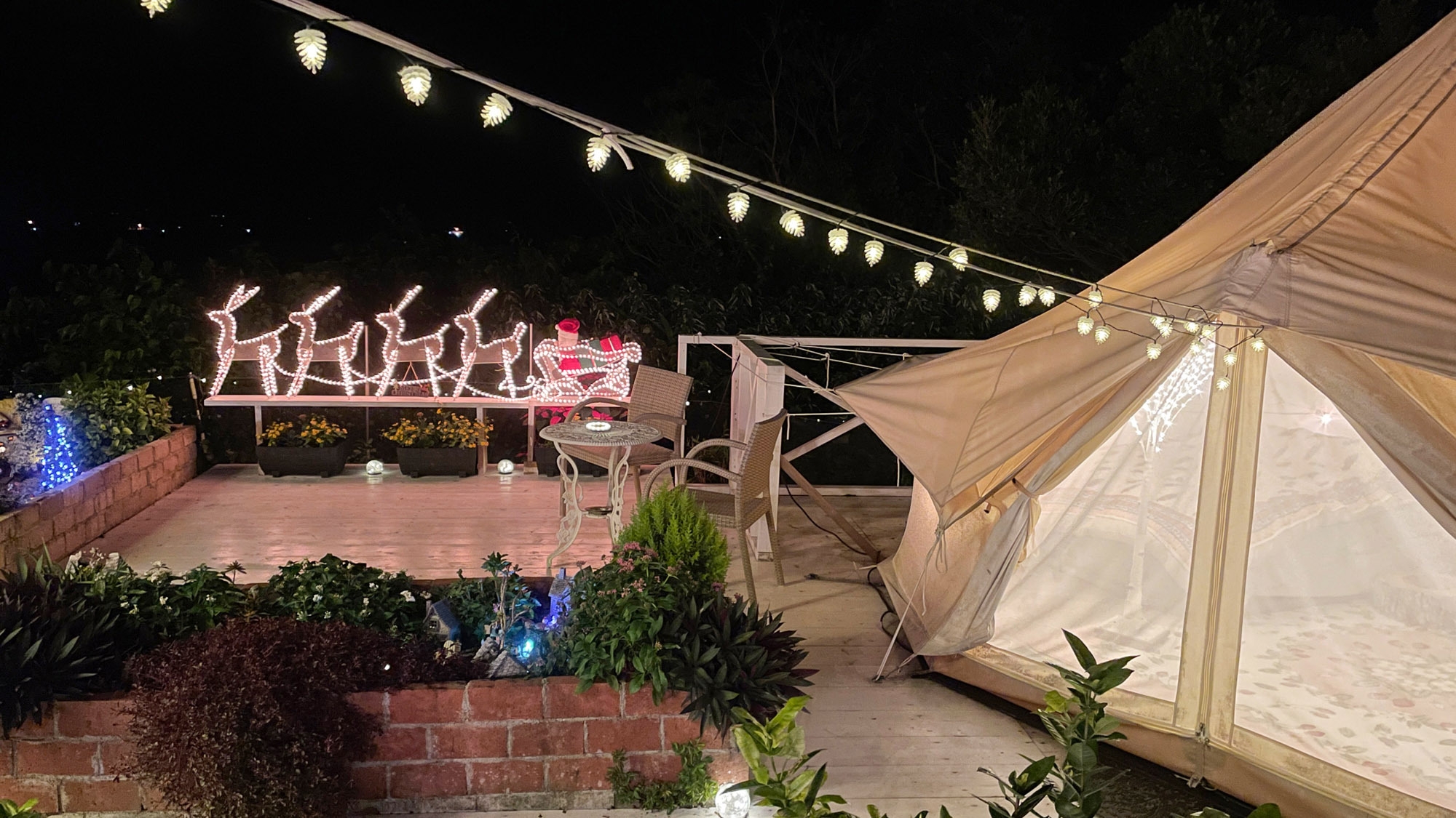 【12月限定】クリスマスナイトガーデン点灯付【素泊り】【お子様歓迎】