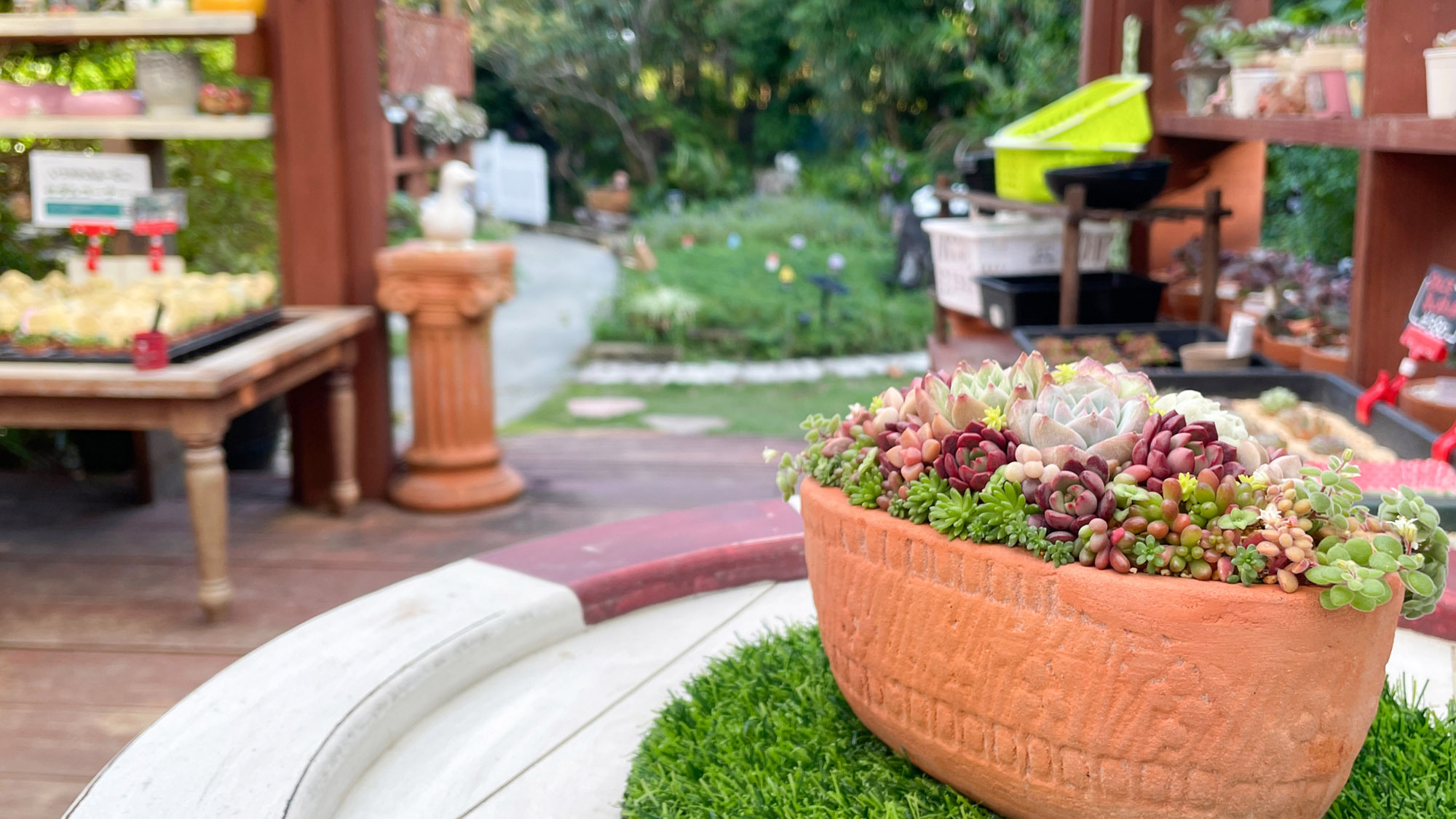 【2月から4月限定】多肉ショップお土産付き！【素泊り】【植物好き歓迎】