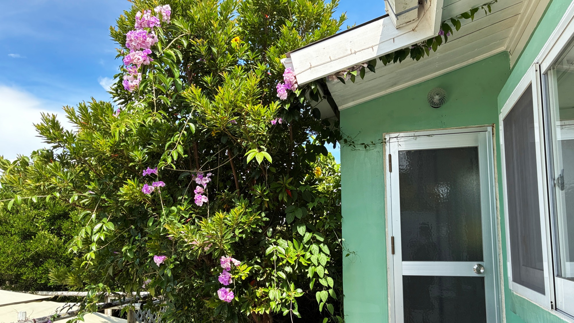 キッチン出入り口