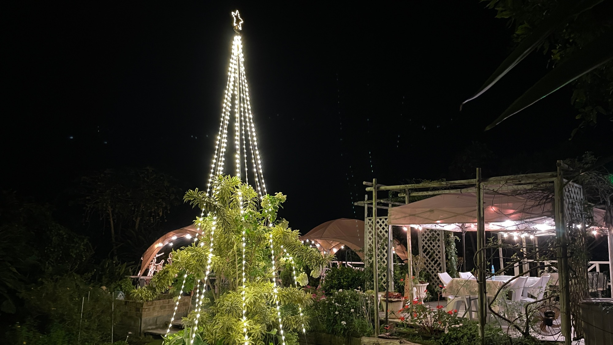 12月クリスマスナイトガーデン