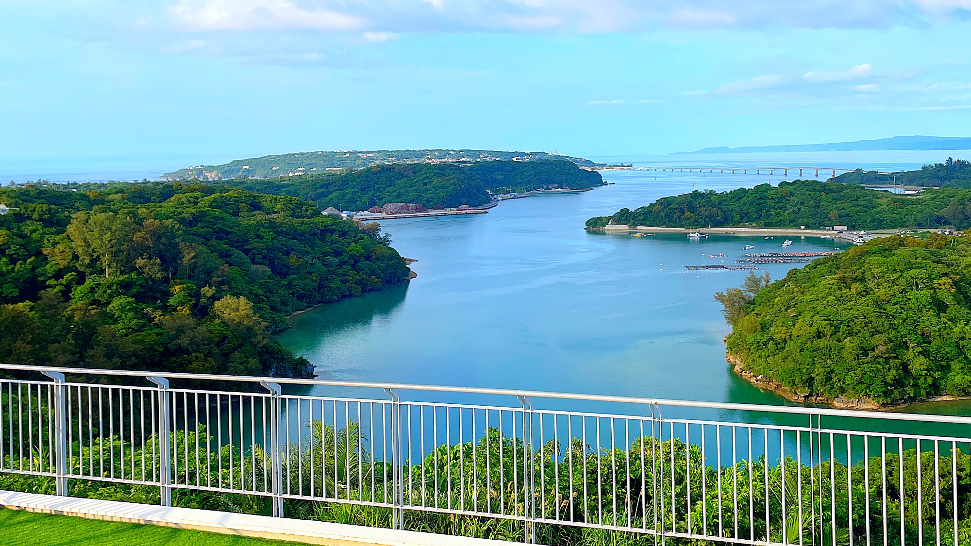【周辺】お車すぐワルミ海峡や古宇利島