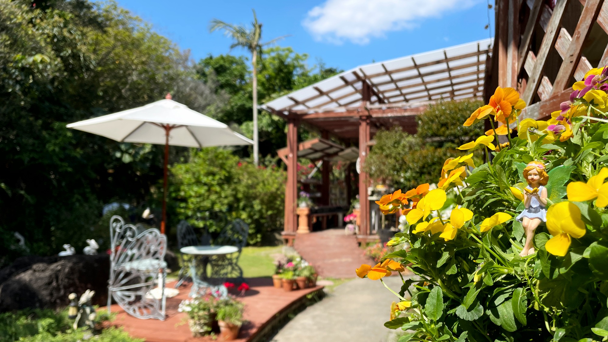フロントと多肉ショップ