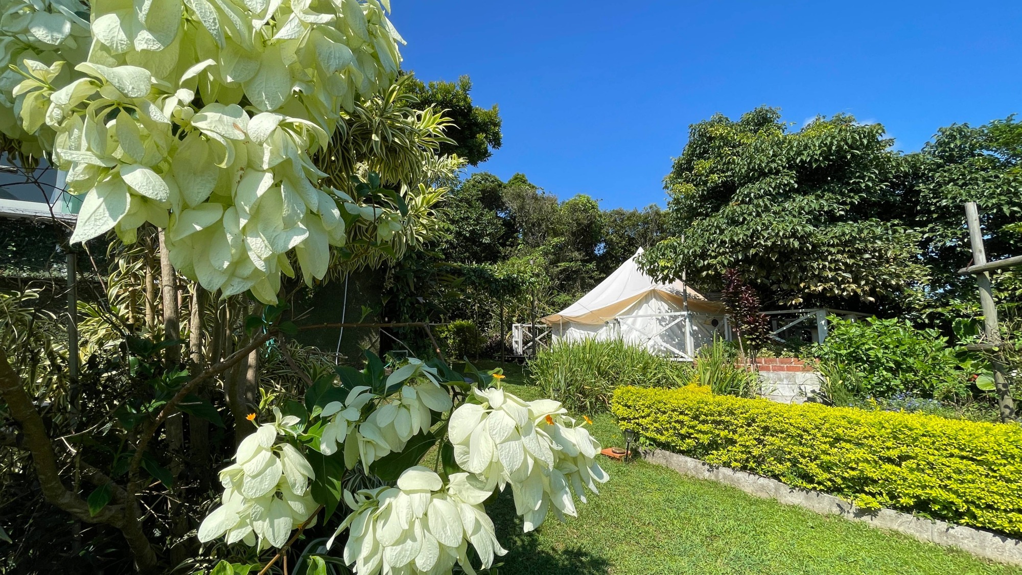 プライベートガーデン