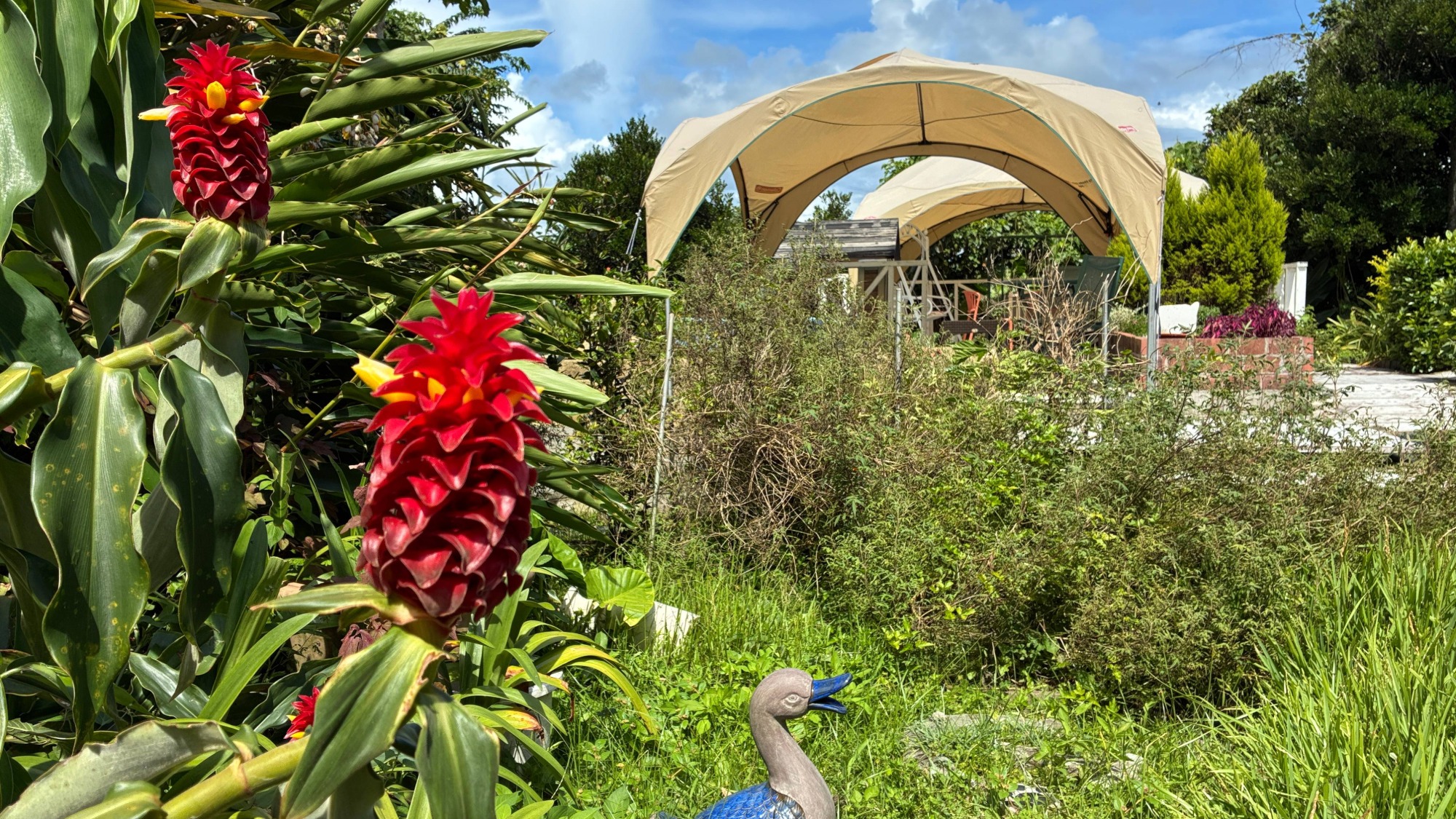 季節で変わるガーデン