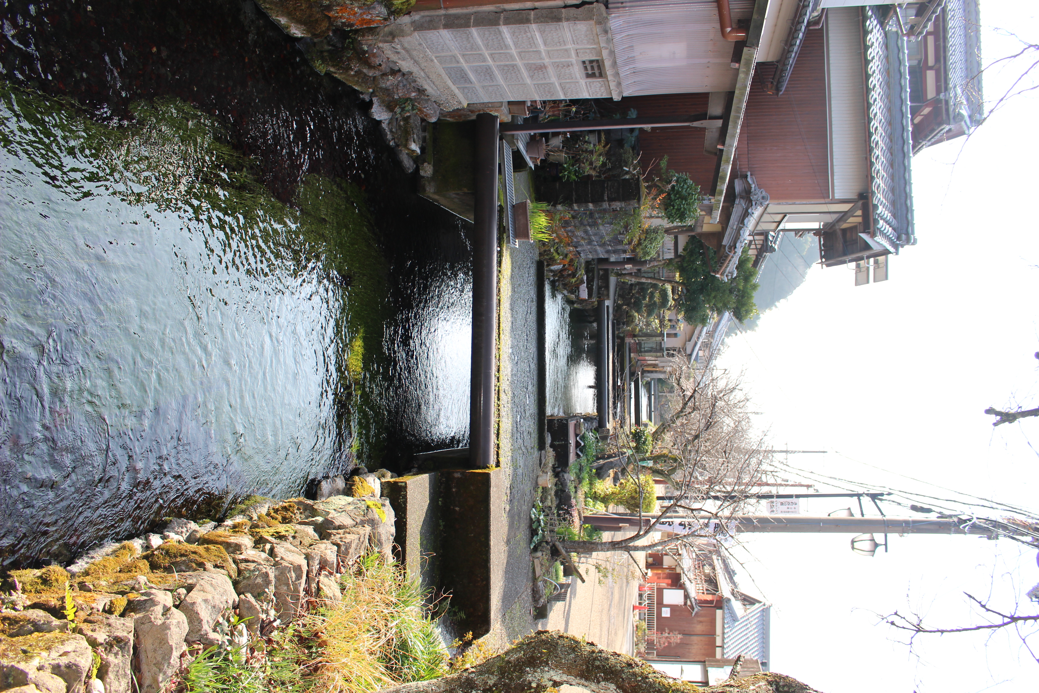 ゲストハウスの目の前は美しい小川