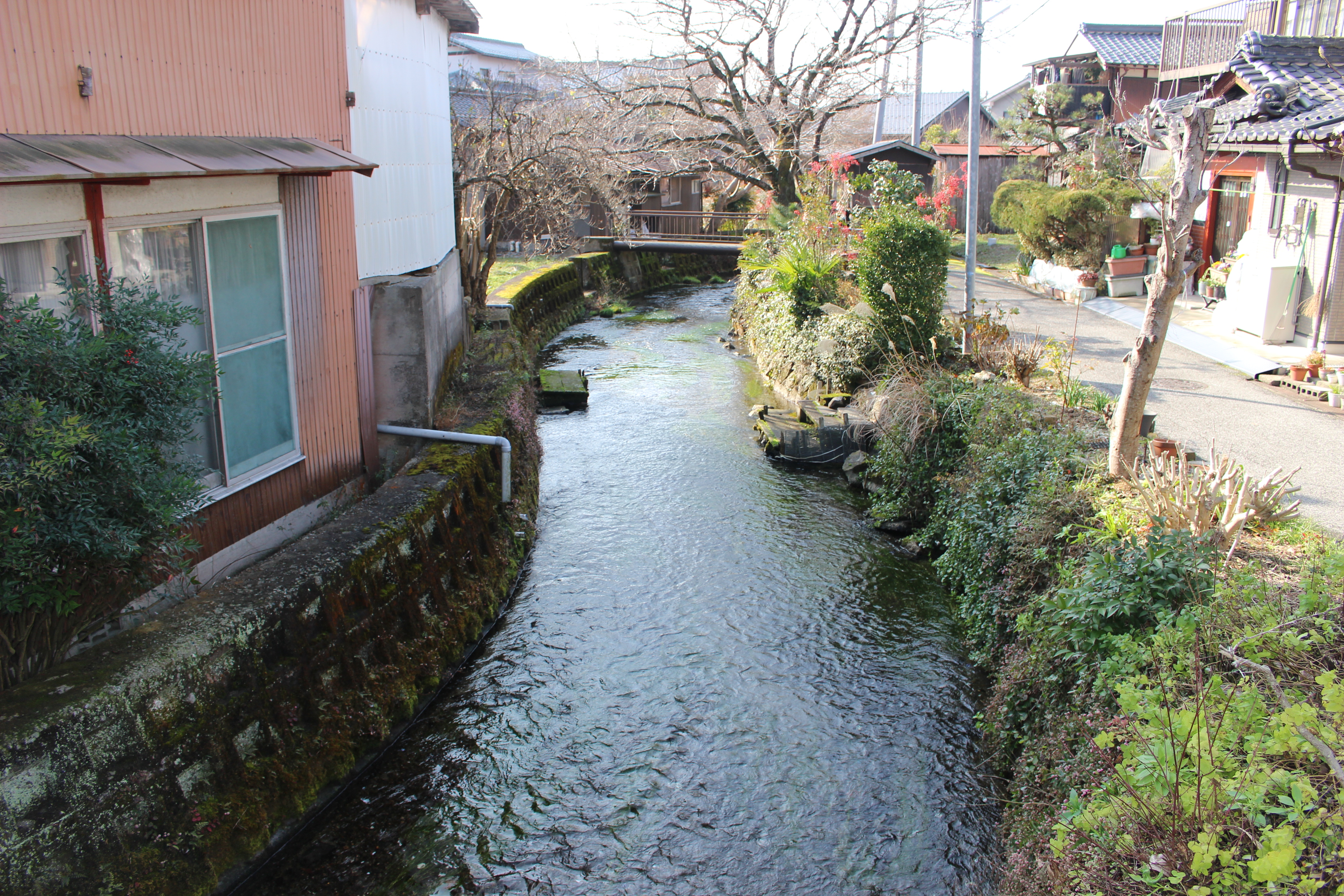 清流と共に暮らす醒井