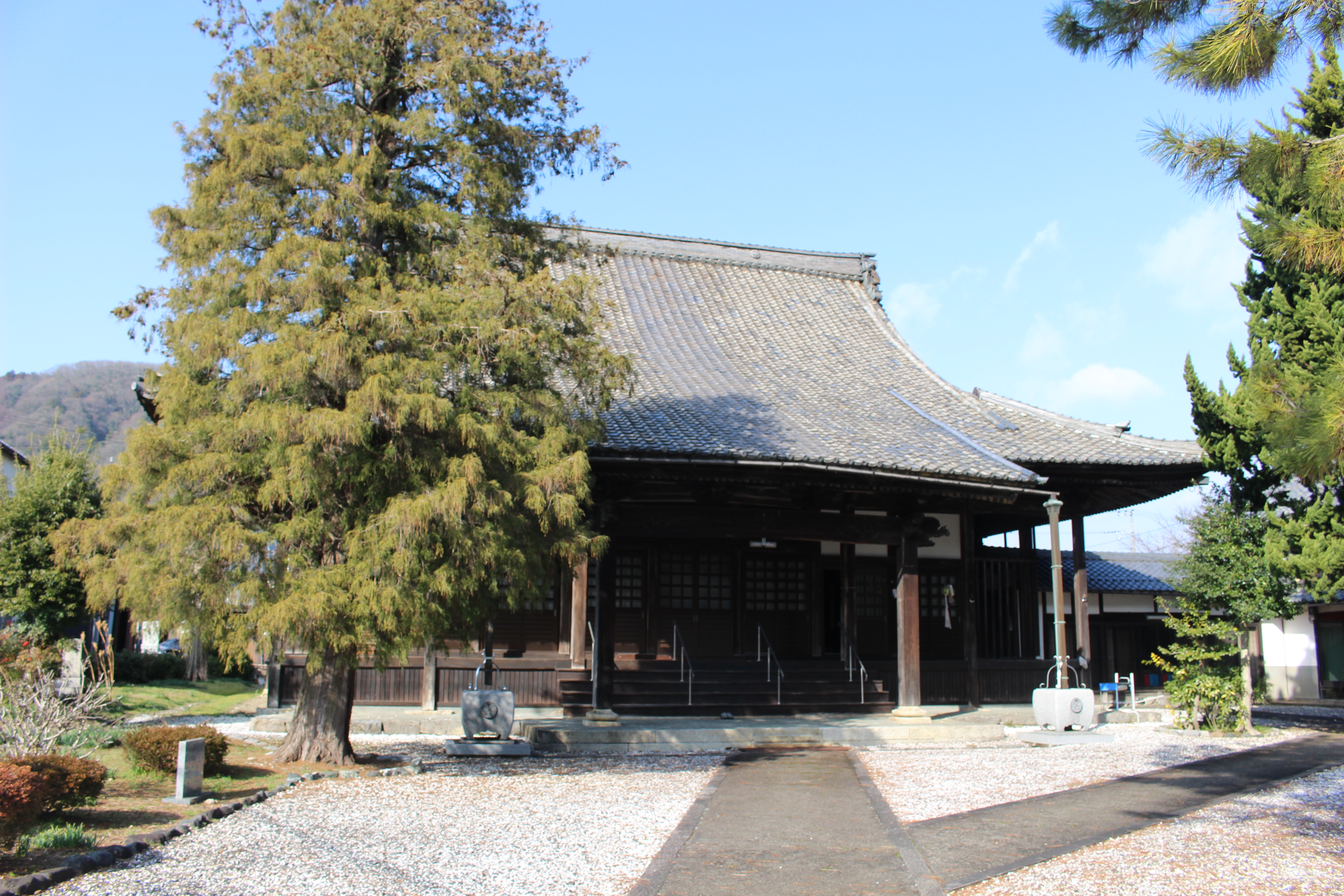 ゲストハウスすぐ裏の法善寺