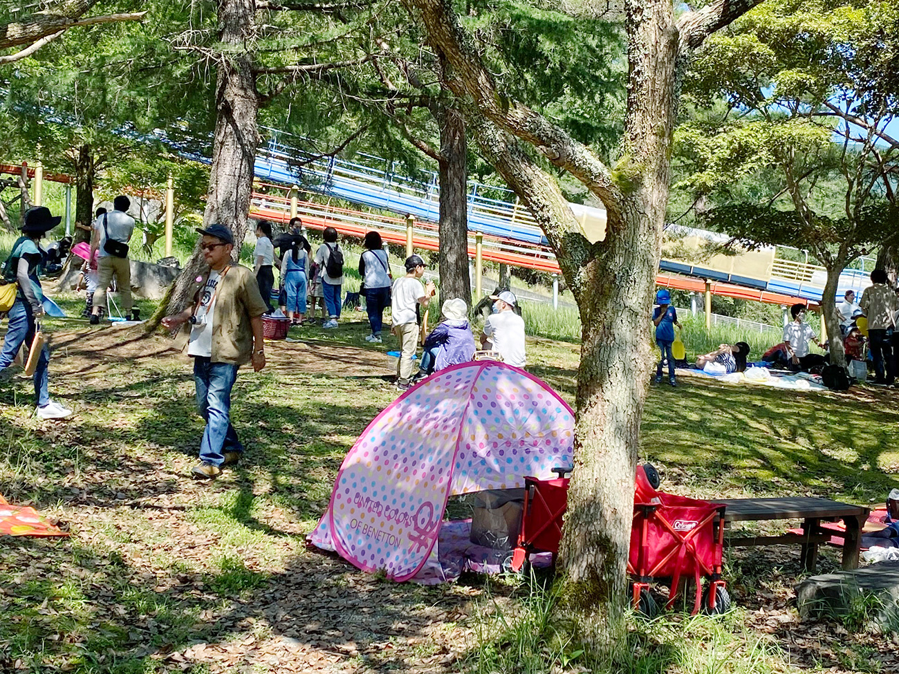 わんぱく公園の様子