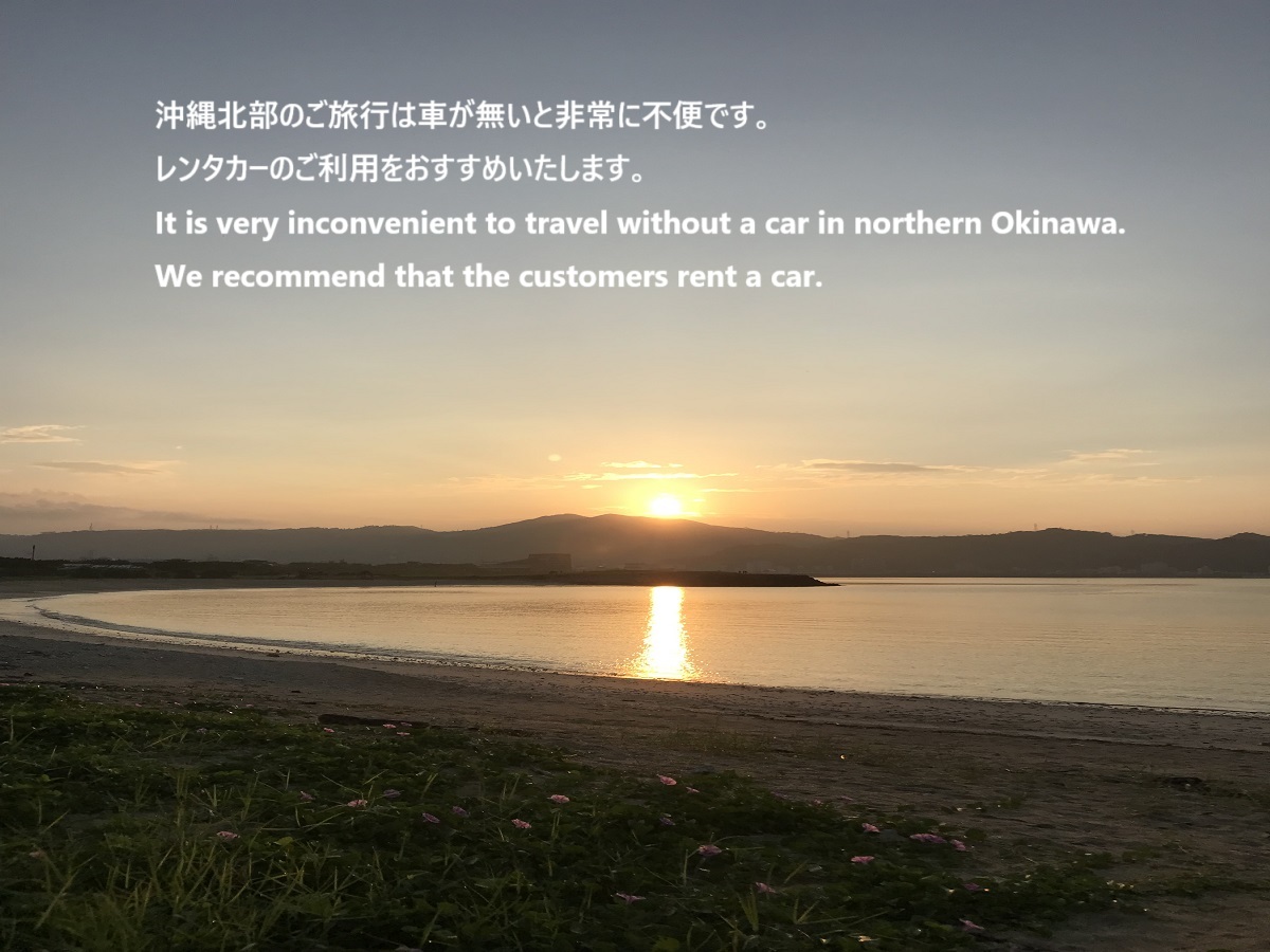 交通手段