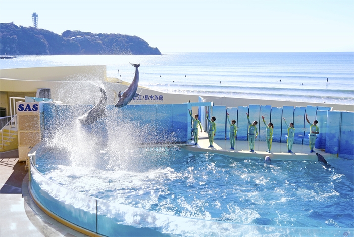 江の島ホテル 宿泊プラン一覧 楽天トラベル