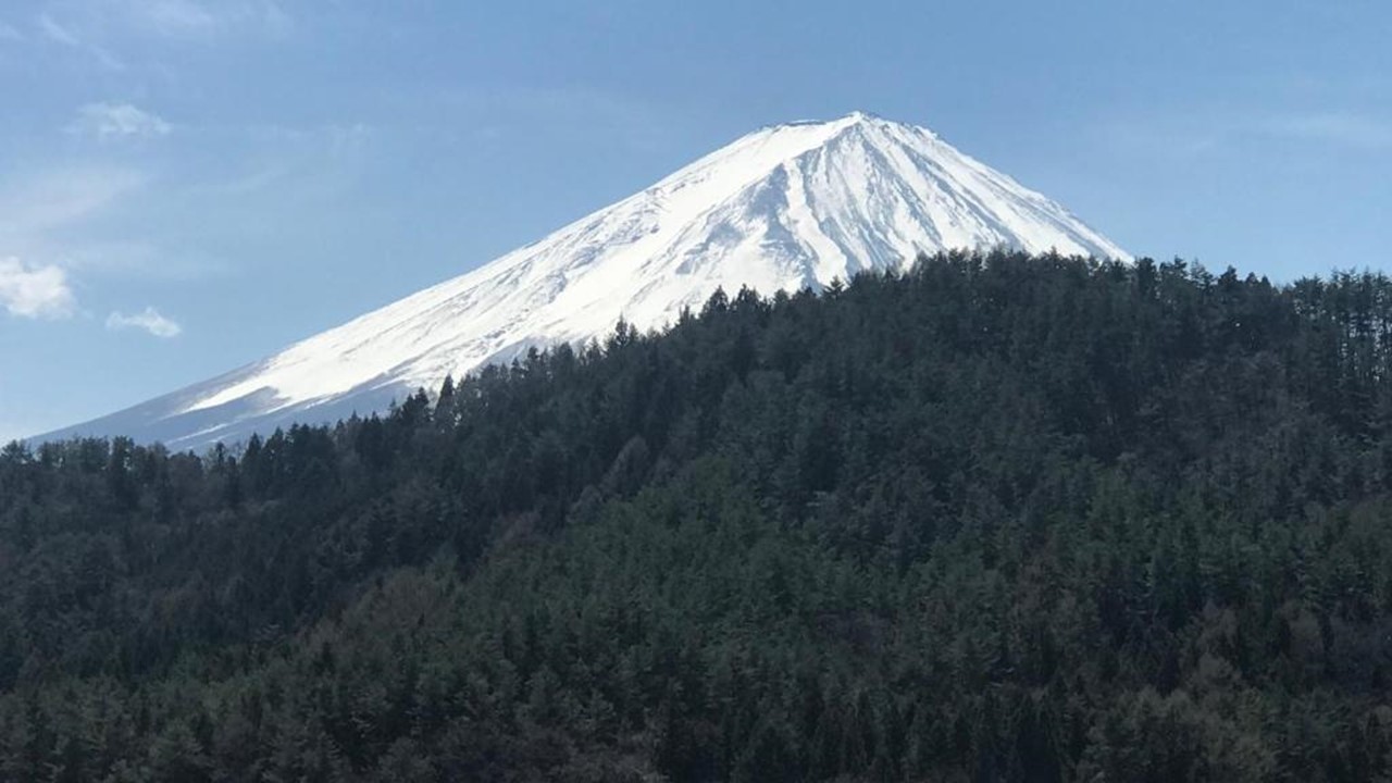 施設からは富士山がご覧いただけます