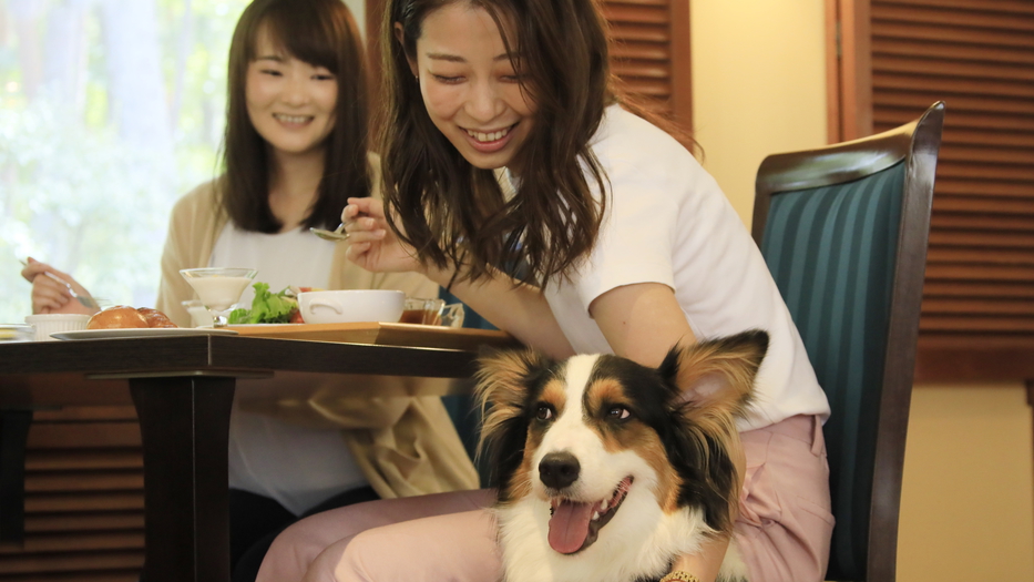 【期間限定】最大20％OFF／当館一番人気のスタンダードプランを愛犬とお得に愉しむ＜風コース★＞