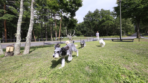 【GWプラン】≪5/3-5/5限定≫自然豊かな蓼科で愛犬と贅沢に初夏を満喫旅＜GW限定◆＞