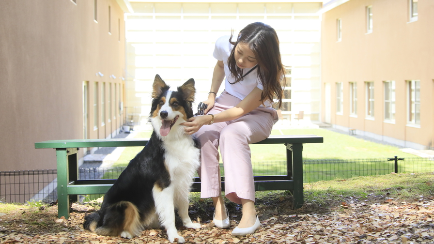 【5周年記念】食事は愛犬とお部屋でゆったりと！5大特典付特別プラン＜蓼科フレンチ□山／お部屋食＞
