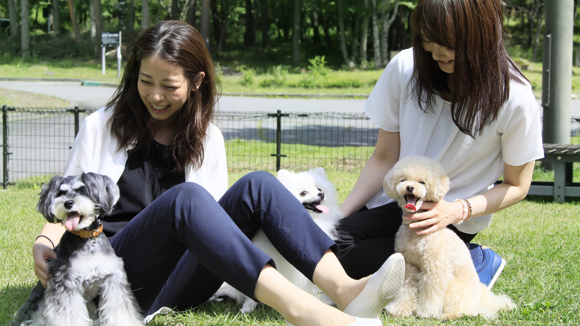 【お籠り旅×夕食のみ】夕食はお部屋で満喫！朝は愛犬とゆったりお過ごし＜蓼科フレンチ☆星／お部屋食＞
