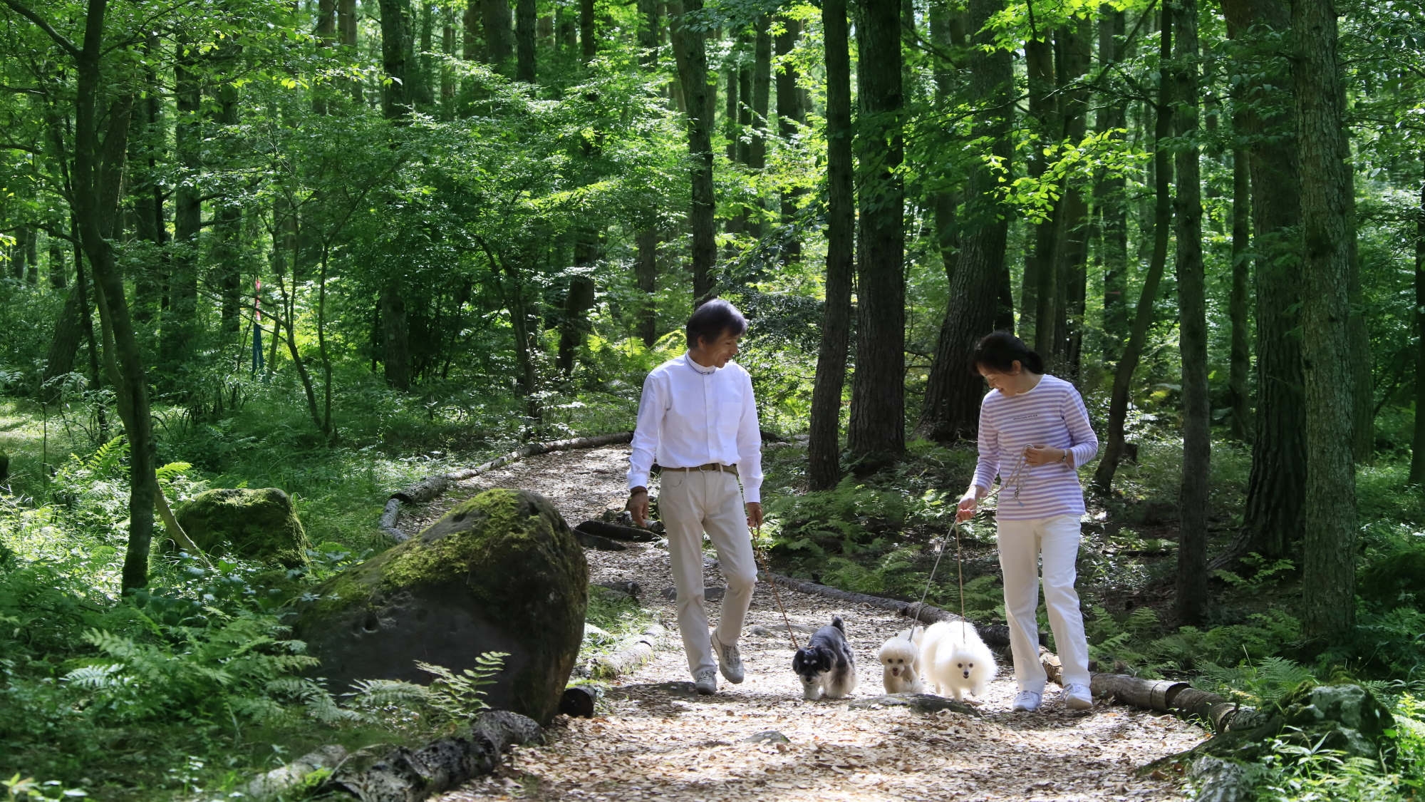 【さき楽×極】早期予約でプレミアムフレンチをお得に／お食事UPグレード＆わんちゃん無料＜極■＞