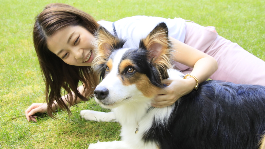 【スタンダードプラン】当館の基本プランで愛犬と一緒に旅行を楽しむ＜風コース★2食付＞