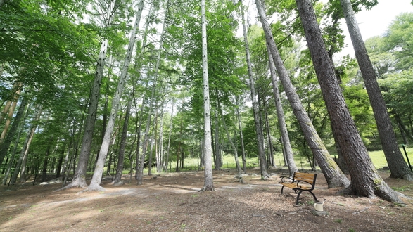 【直前割×GW】≪5/2-5/5限定≫直前予約で人気の日程がお得に！蓼科を愛犬と愉しむ＜◆GW限定＞