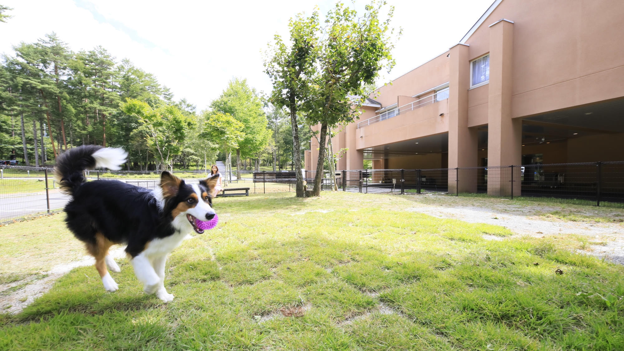 【人気客室×限定価格】お一人6，600円以上お得！冬季限定愛犬と蓼科でのびのびステイ＜★風＞