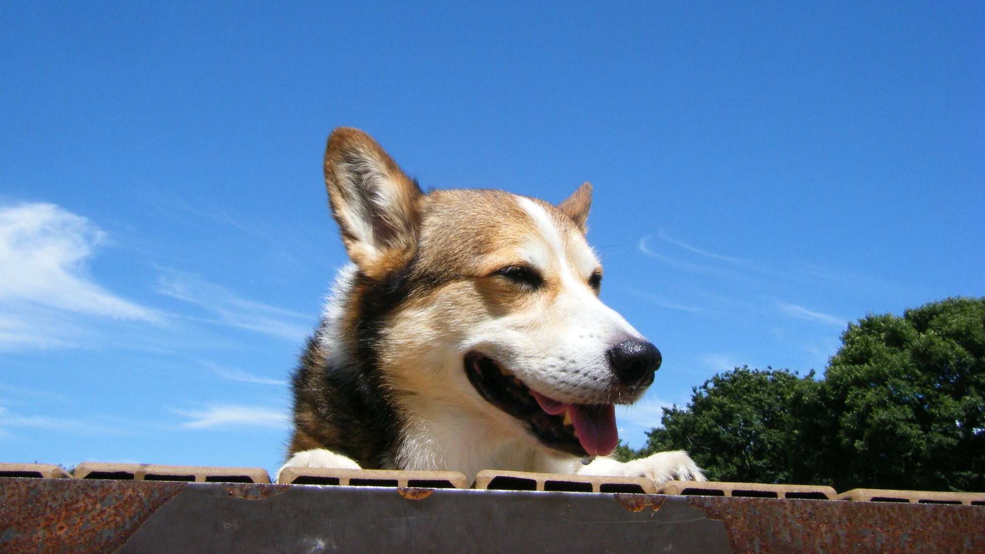 【お盆プラン】≪8/8-8/15限定≫避暑地・蓼科で愛犬と自然に癒される夏のひととき＜◆お盆限定＞