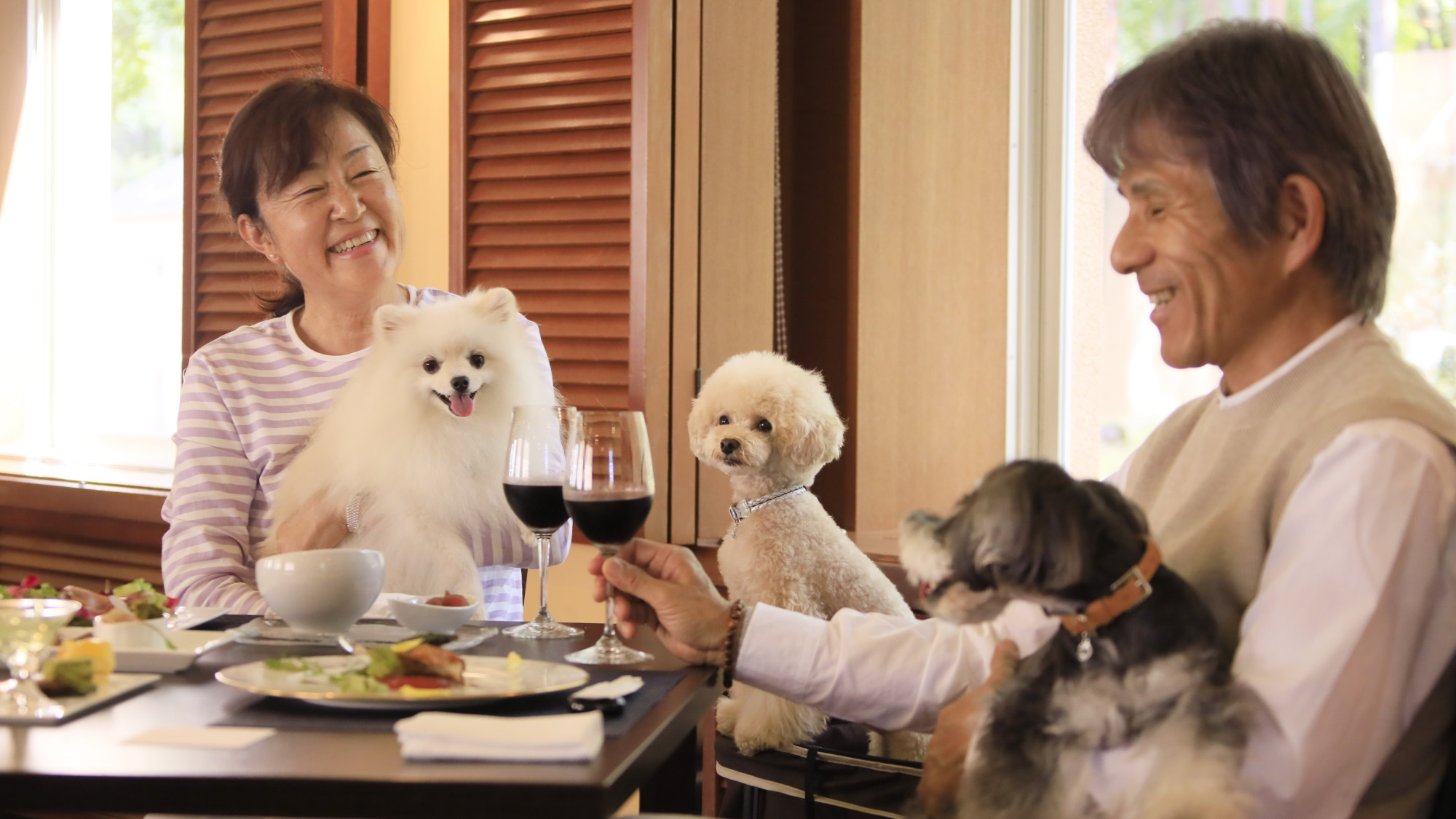 【レストラン】レストランも愛犬同伴OK／ご一緒にフレンチのお食事をご堪能