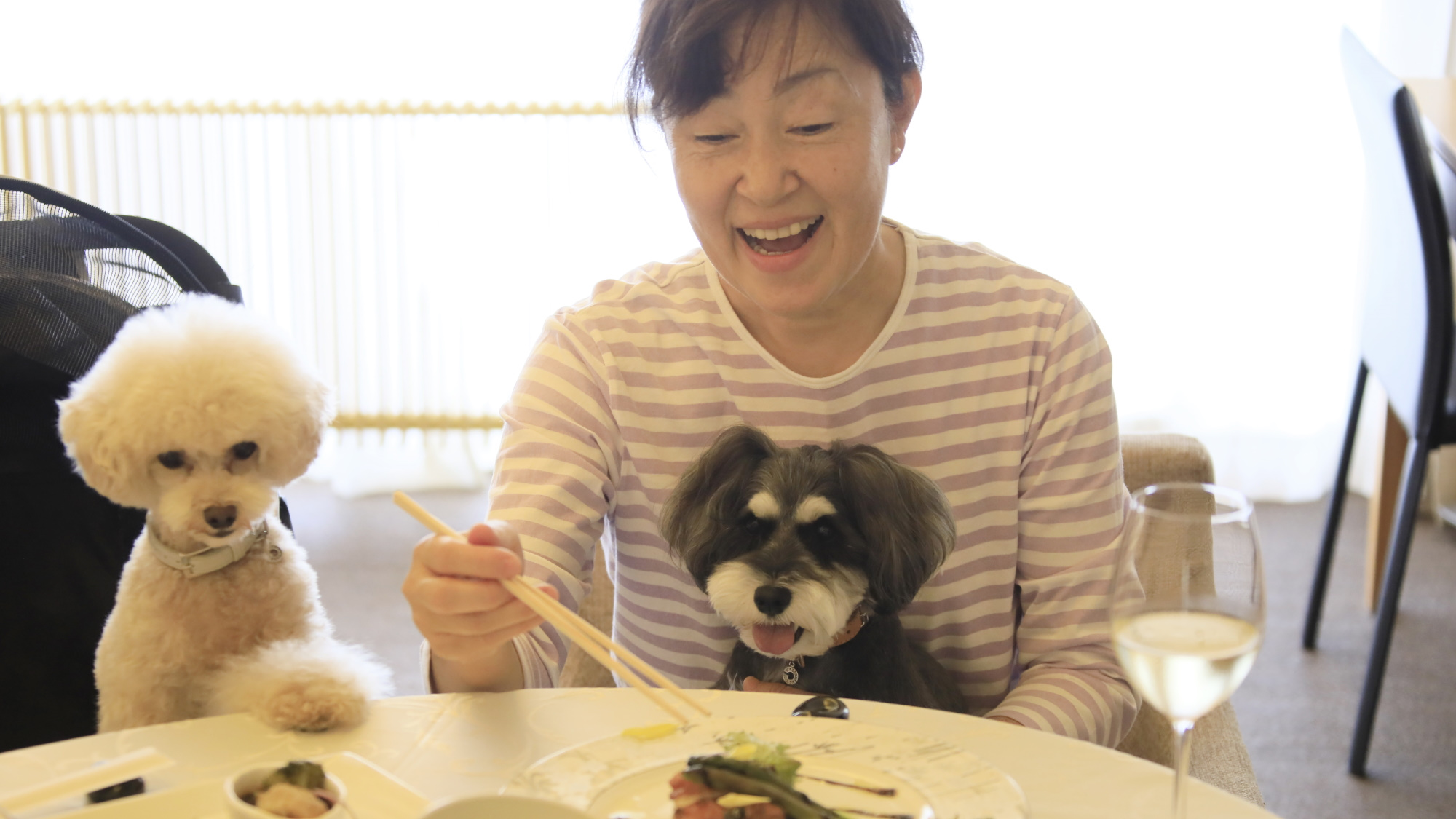 お部屋食｜お部屋でご家族や愛犬とくつろぎながら、お食事をお愉しみいただけます。