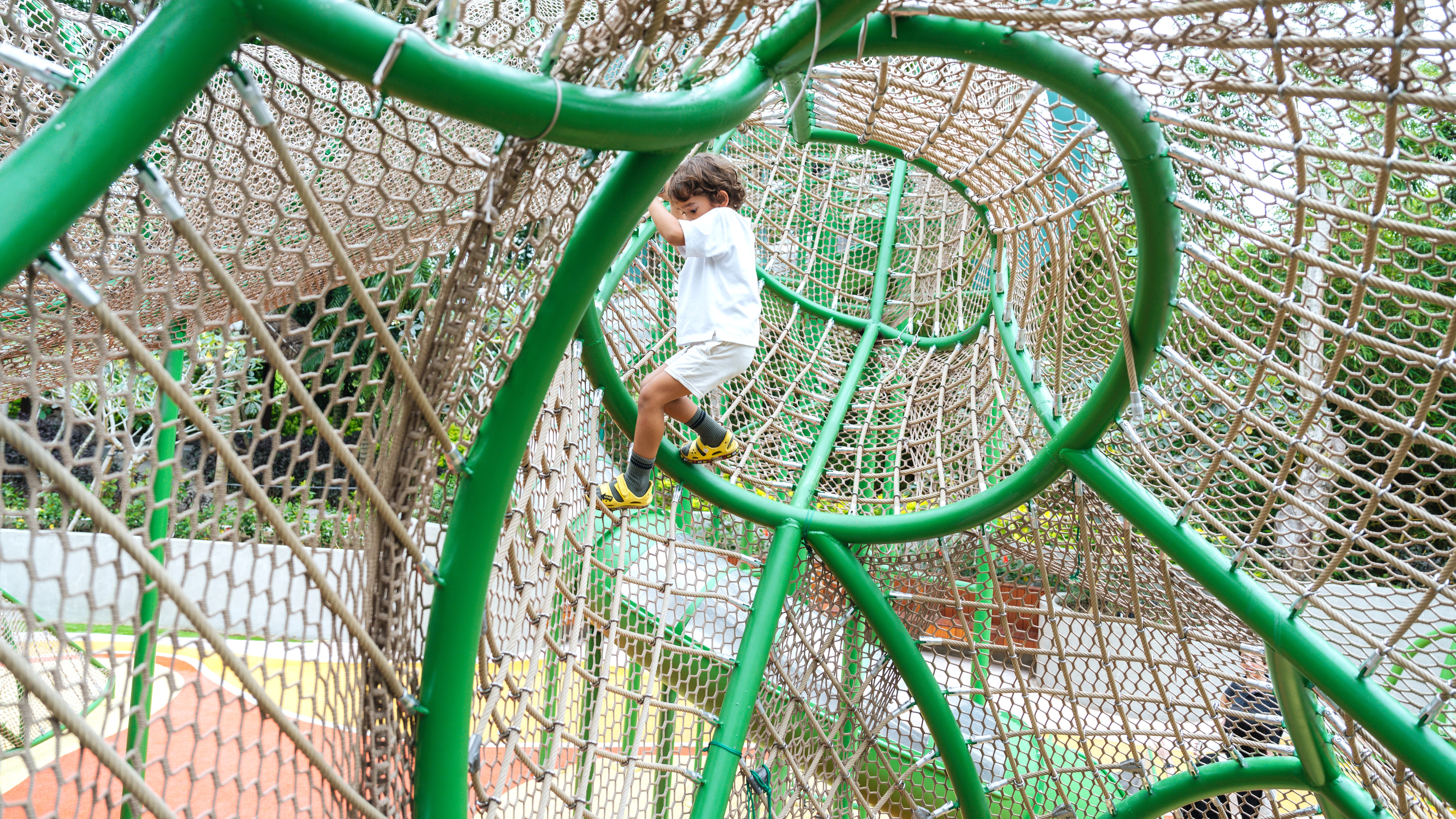 リンバ ジャングルアドベンチャー