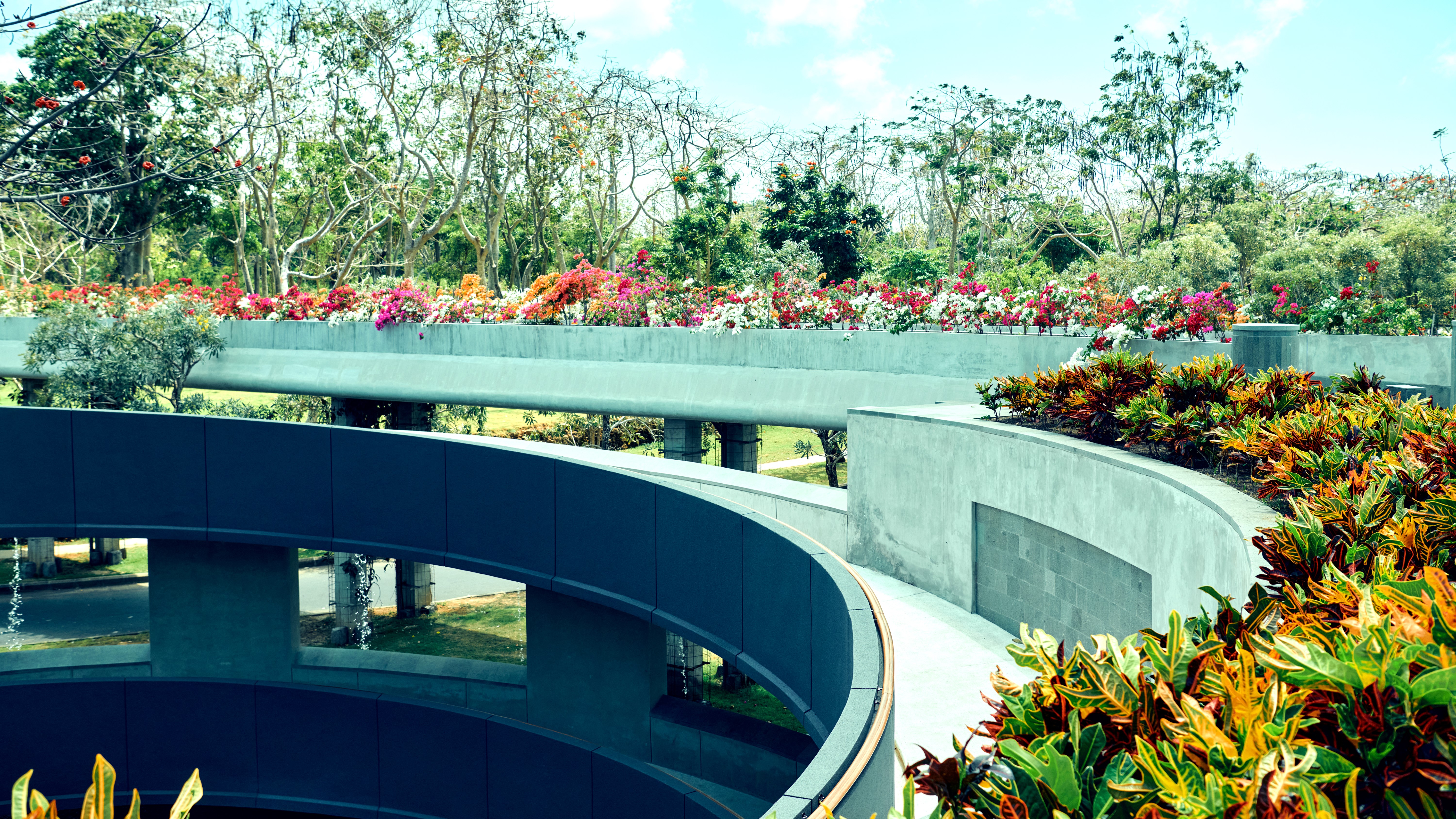 サカミュージアム