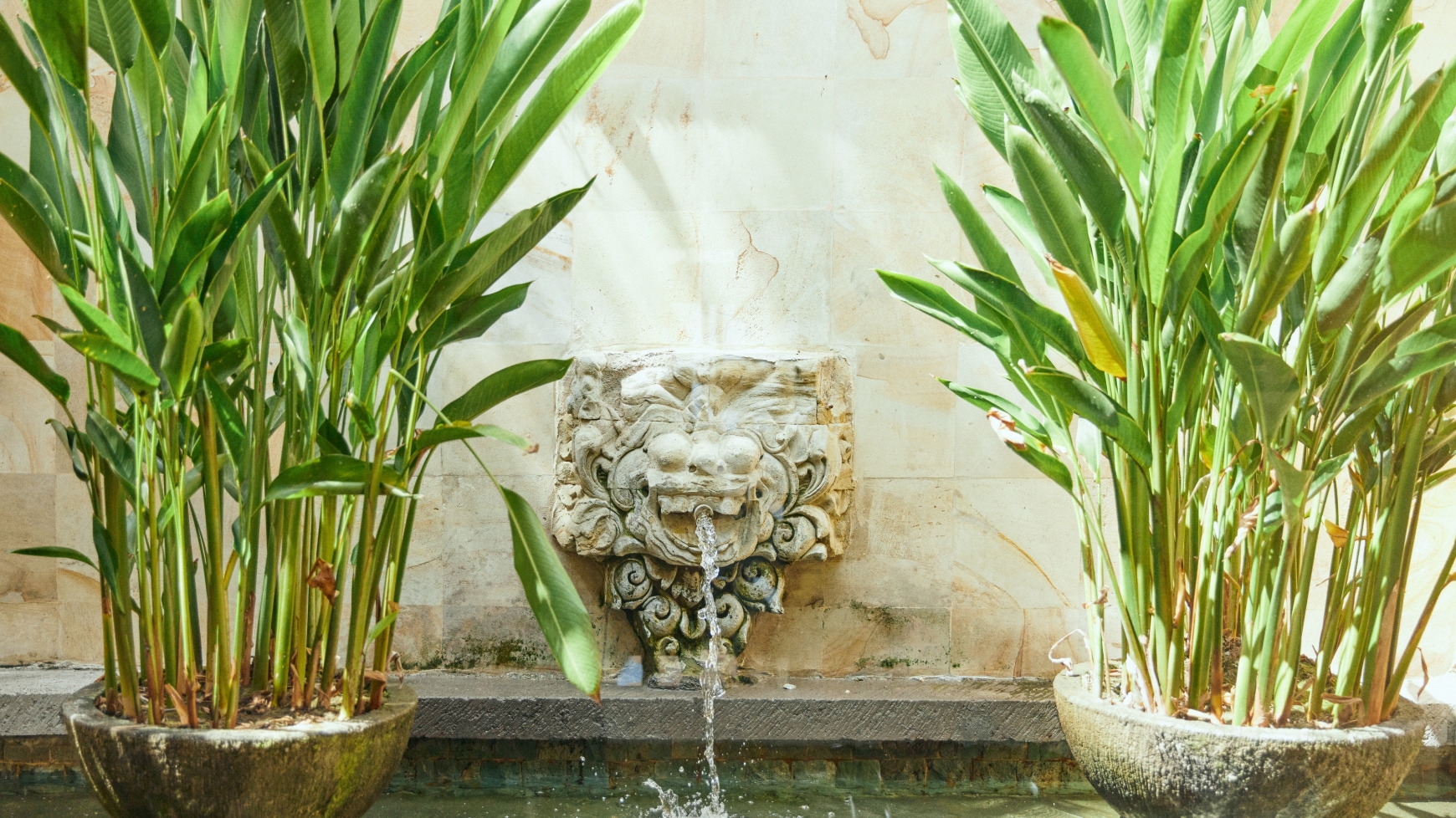 1ベッドルーム　オーシャン　フロント　ヴィラ　ー例