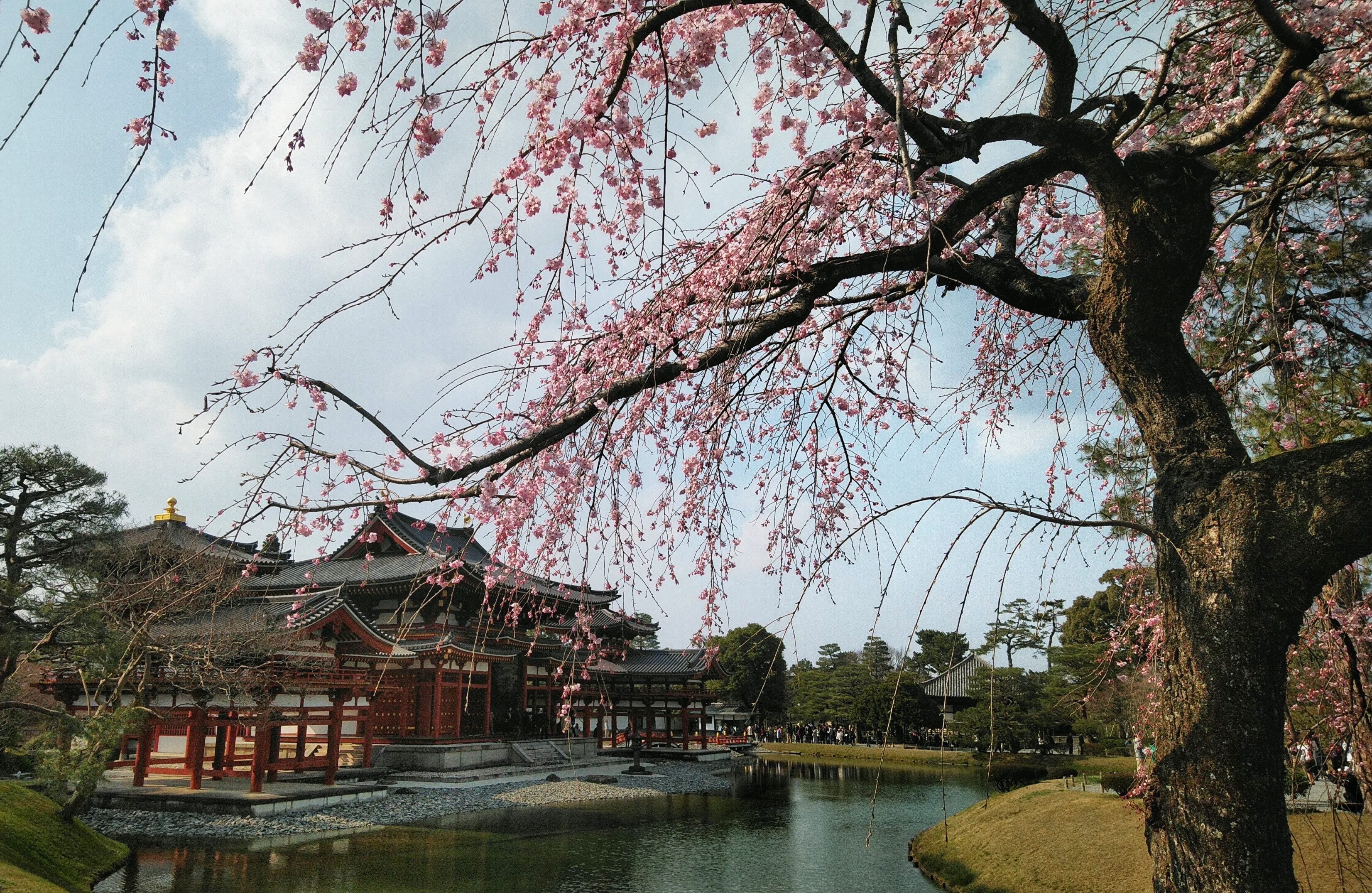京都 平等院