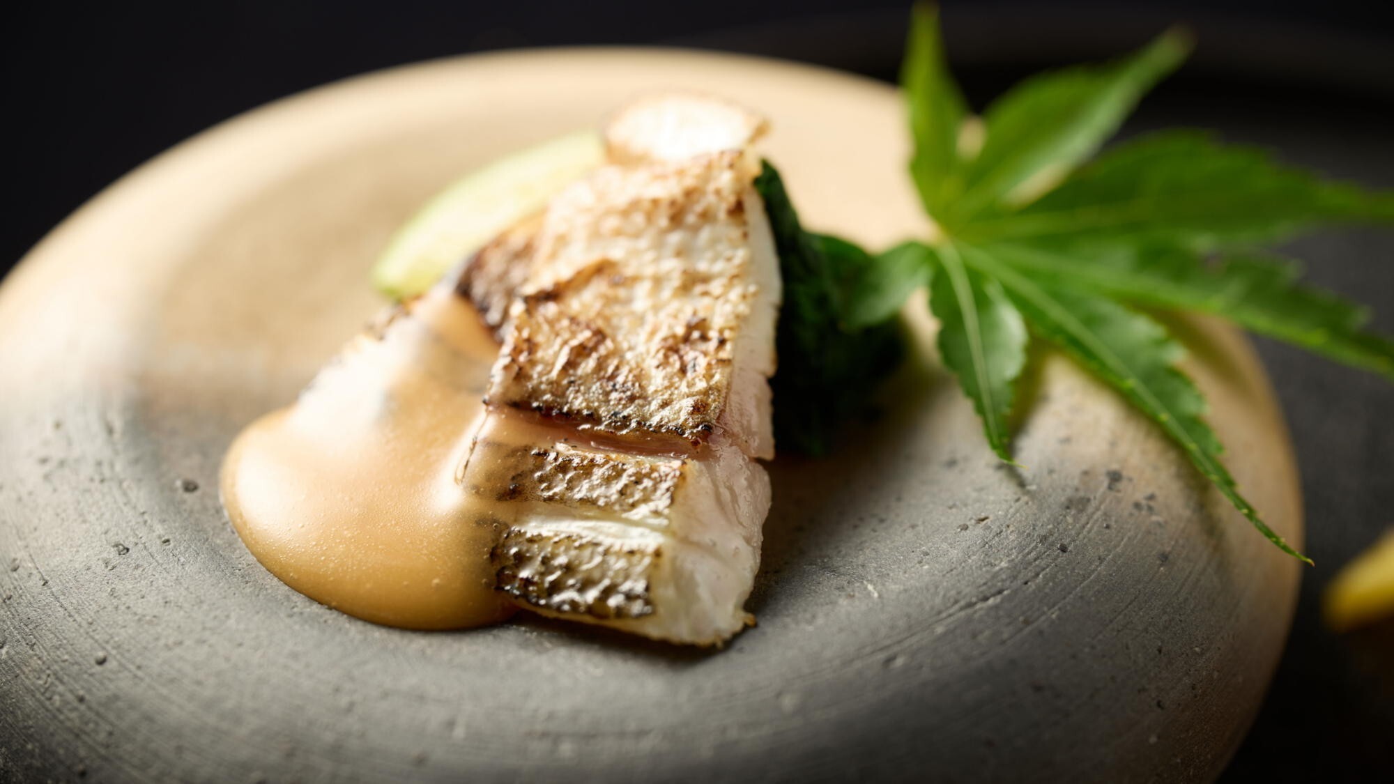 ■十邑イメージ