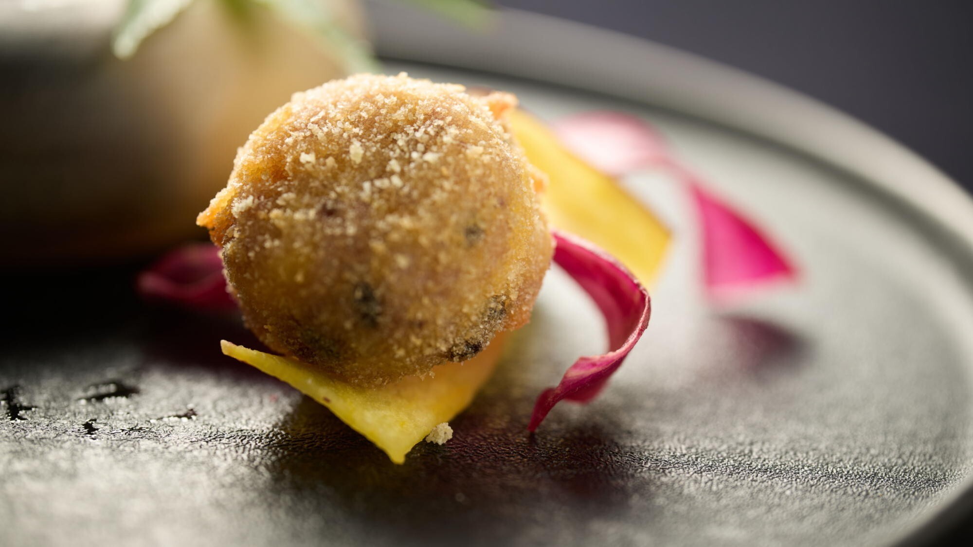 ■十邑イメージ