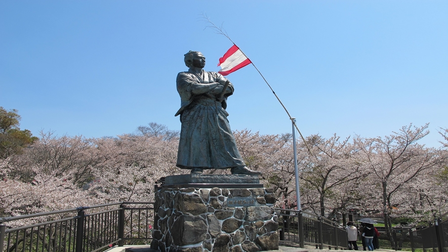 風頭公園　坂本龍馬之像の桜