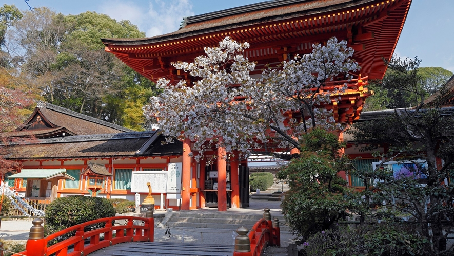 【京都観光】厄除けで有名「上賀茂神社」