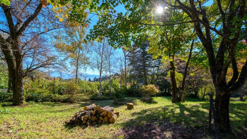 【美味少量プラン】お食事少なめで1650円OFF｜湯治にも！湖畔の宿で楽しむ早太郎温泉（2食付）