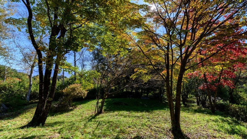 【さき楽30◆2食付】早期割引でお得！信州の厳選素材がお皿を彩るヘルシーな創作会席＆美肌の湯を楽しむ