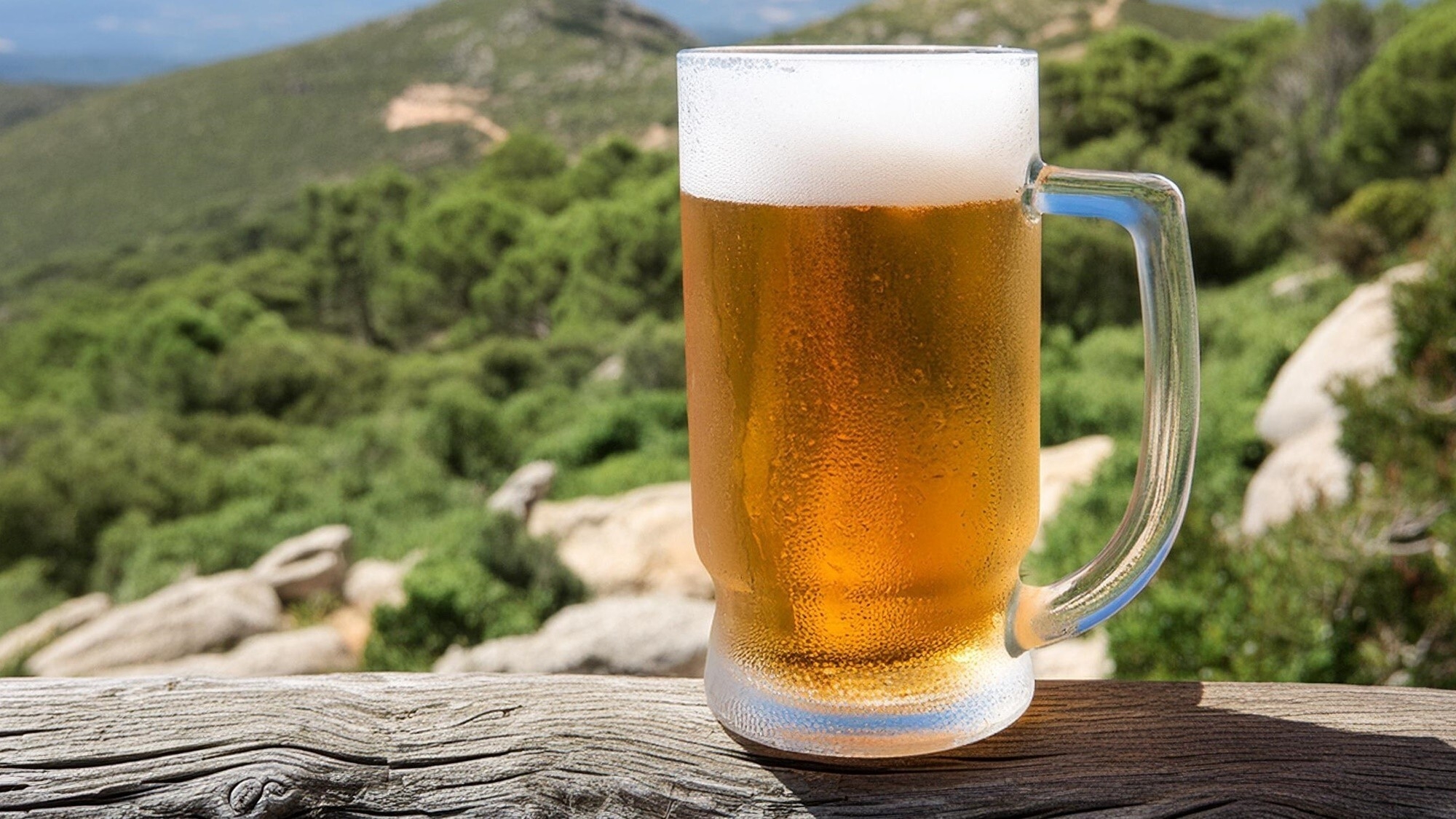 【7月限定】暑い夏はビールで乾杯！★ウェルカムビール付プラン【2食付】