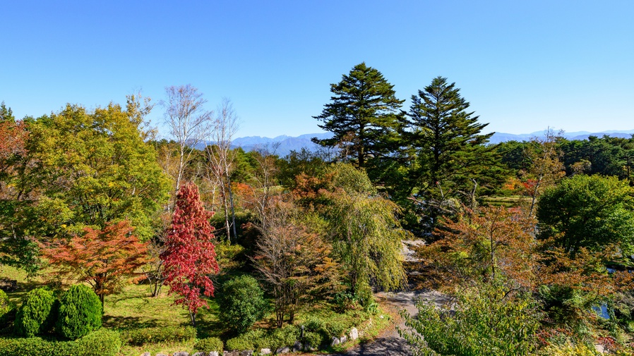 *【LAKE＆FORESTview湖畔側/和室8畳】お部屋からの眺望は、四季折々の表情が楽しめます