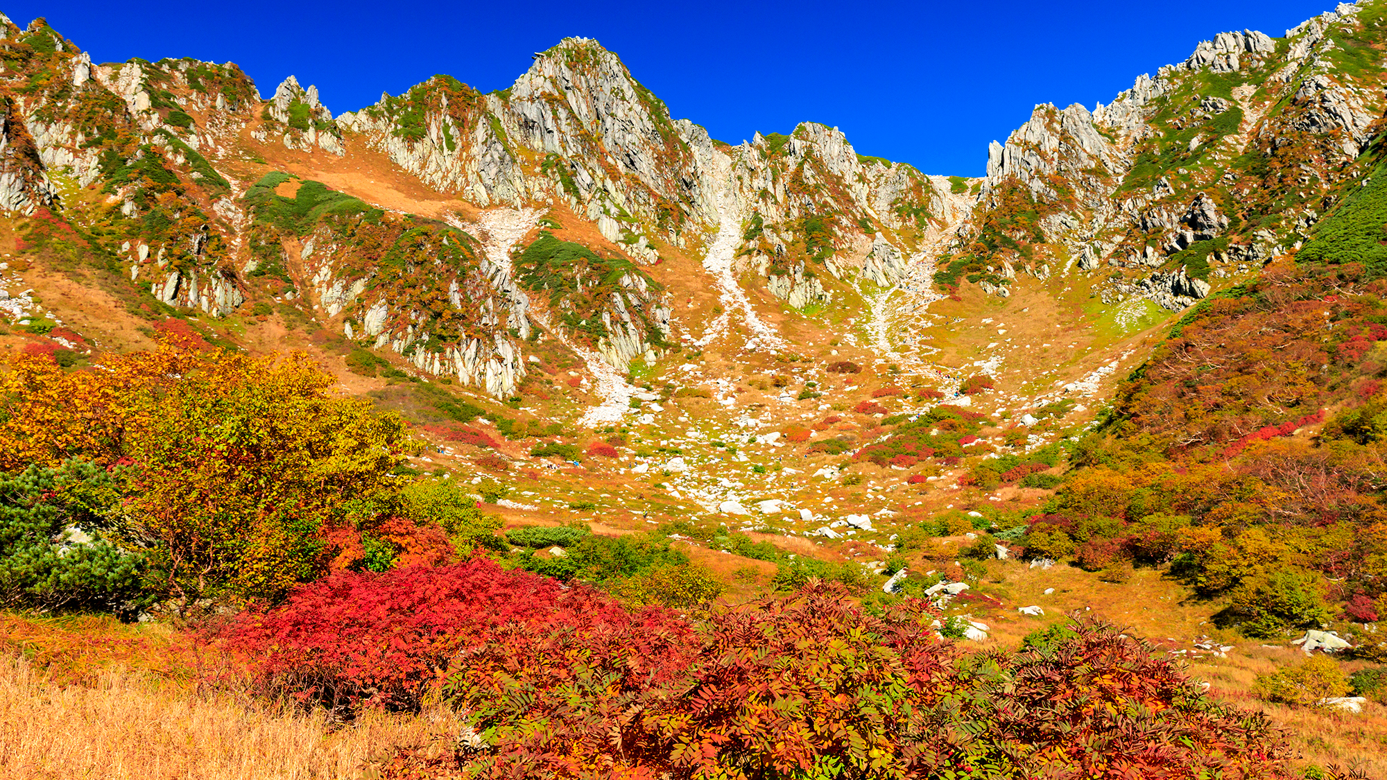 *千畳敷カール／紅葉の時期は圧巻！ナナカマドの赤やダケカンバの黄に染まる光景は、まるで絵画のよう！