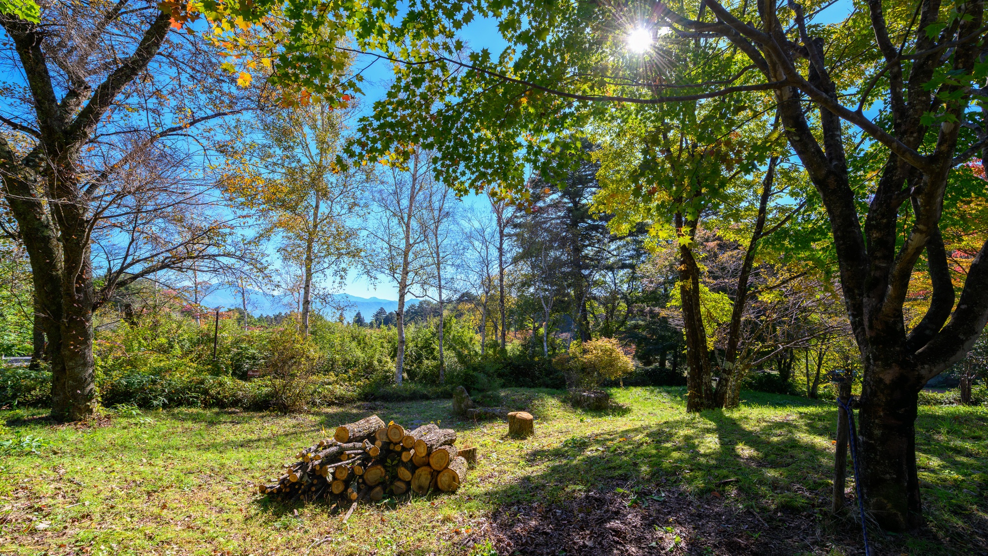 *【周辺】緑に包まれほっとひと息。自然の中を歩けば、心も体もリフレッシュ