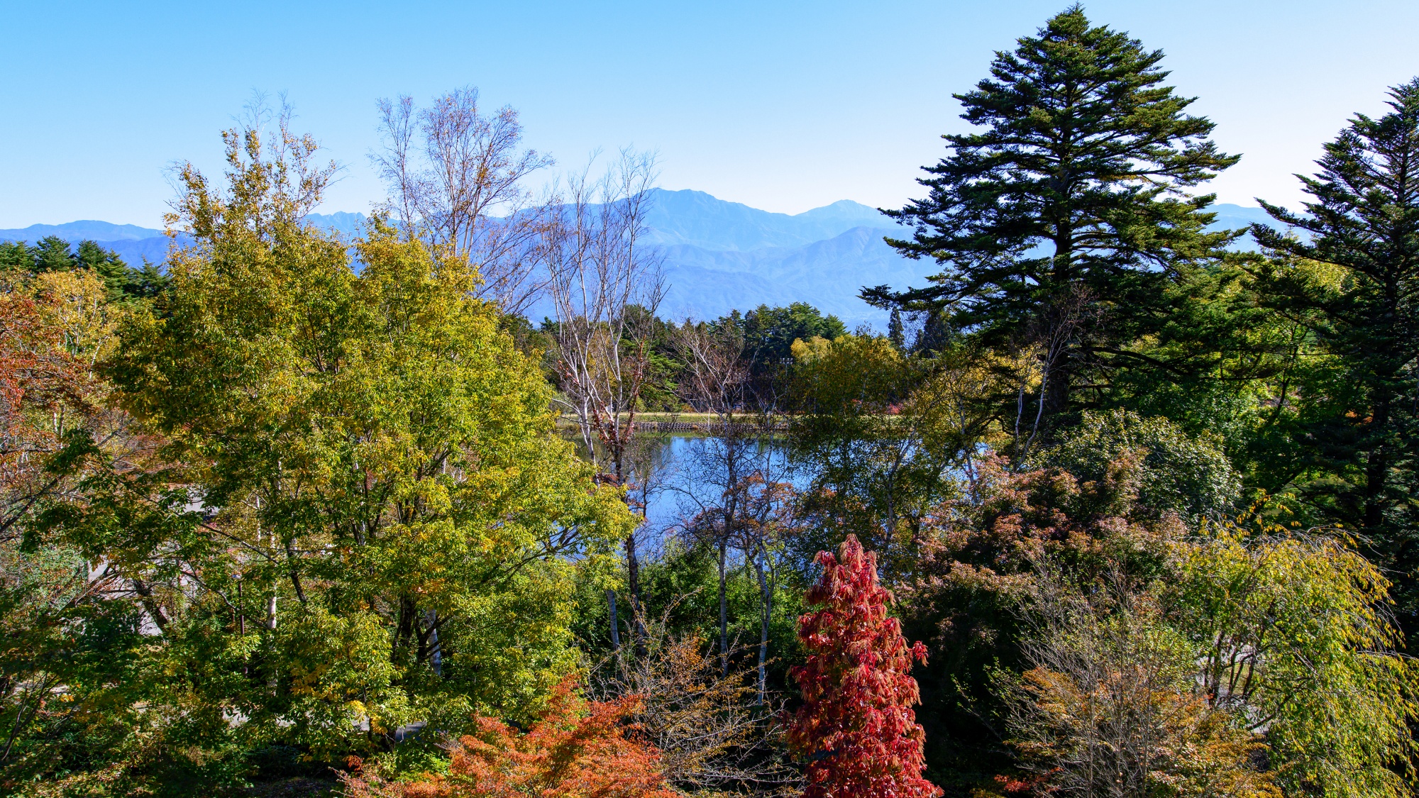 *【展望台】四季折々の景色を楽しめる展望台。自然に囲まれた心落ち着く眺めです