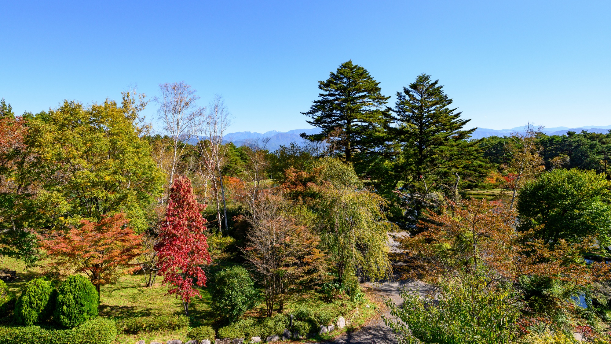 *【LAKE＆FORESTview湖畔側/和室8畳】お部屋からの眺望は、四季折々の表情が楽しめます
