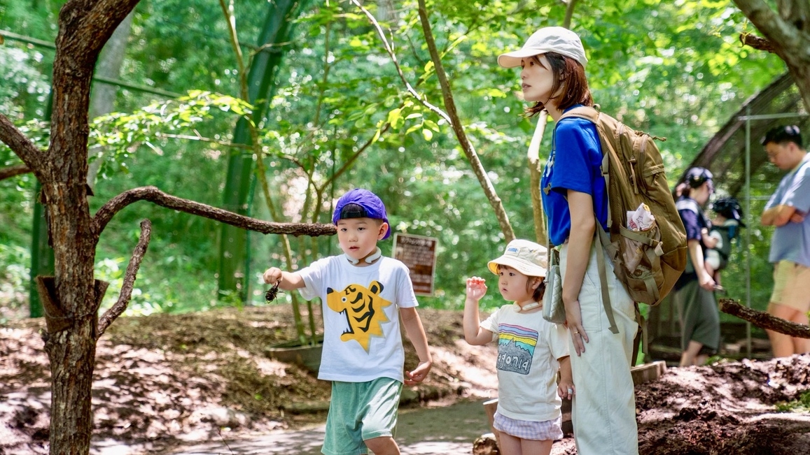 ＼2025年7月限定・夏の王様カブトムシに会える備北丘陵公園満喫プラン／『お子さまの体験料が無料』