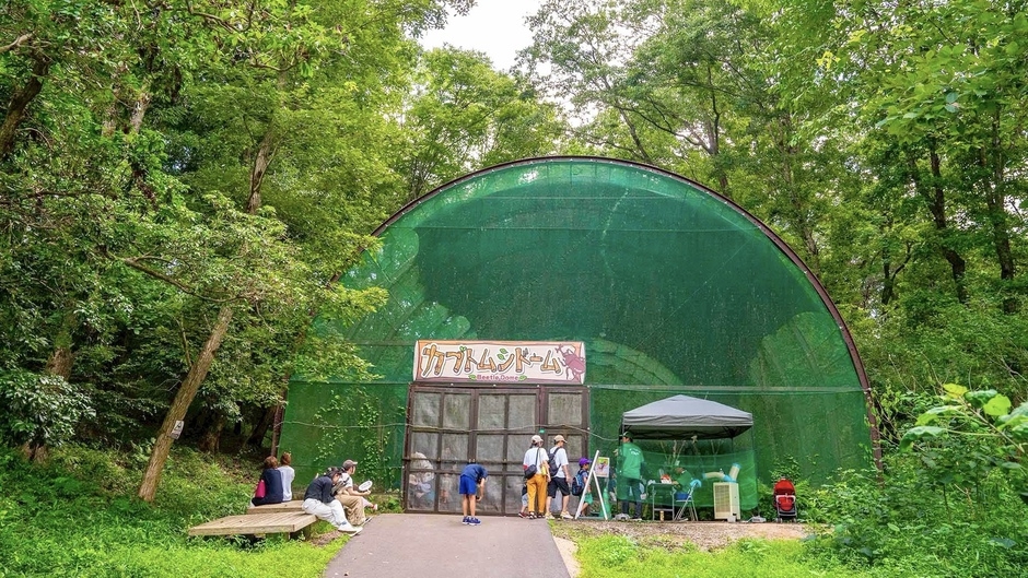 ＼2025年7月限定・夏の王様カブトムシに会える備北丘陵公園満喫プラン／『お子さまの体験料が無料』