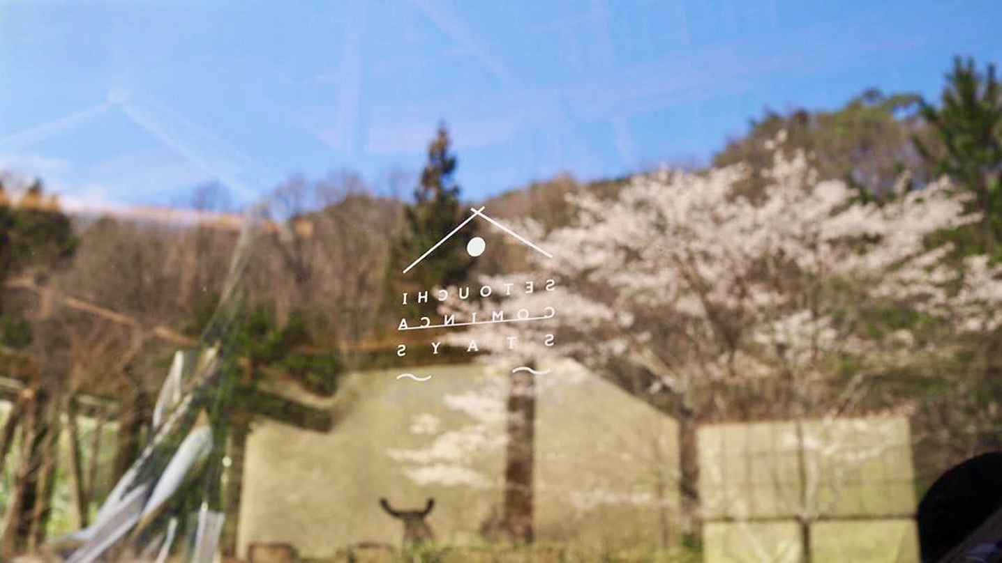 こざこ森の桜