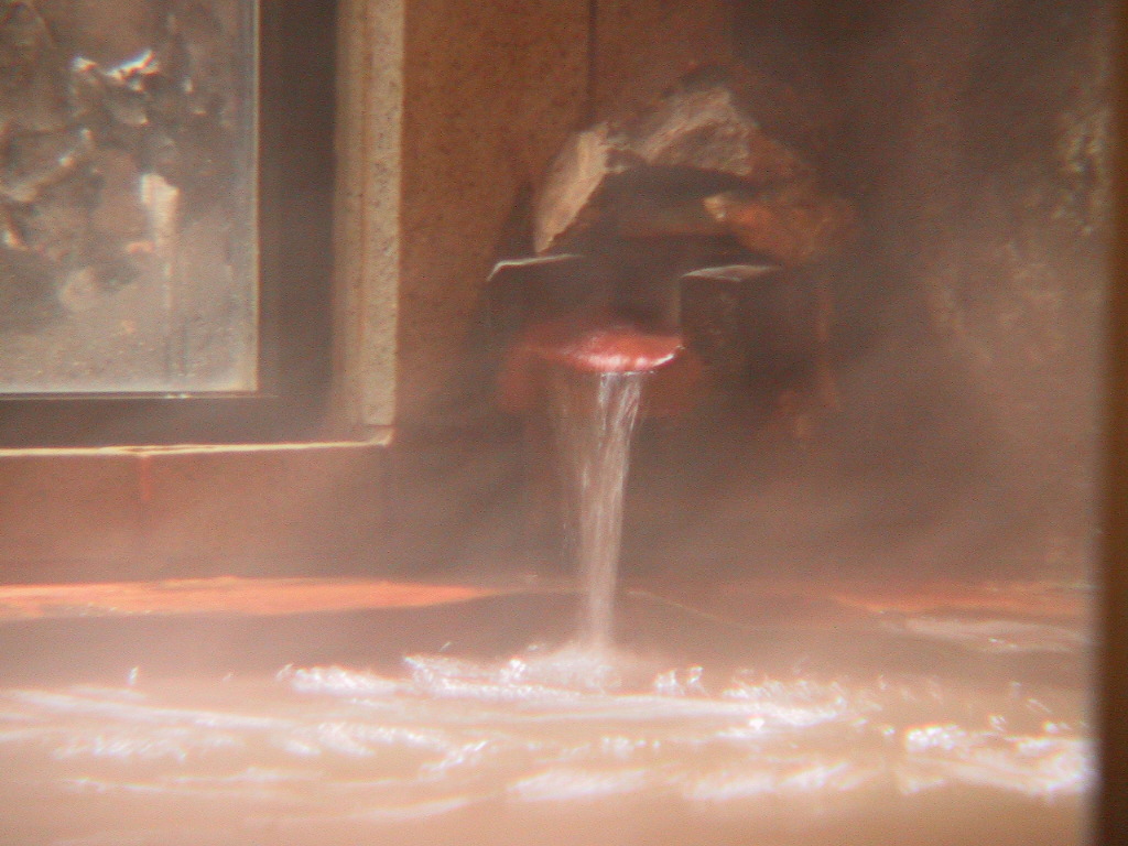 最終値下げ！野口医学研究所品質推奨品　温浴器　　匠の湯 毒沢ミネラル療養泉 宮乃湯旅館 宿泊予約【楽天トラベル】